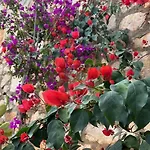 Seaside House Losinj, Losinj - 22696
