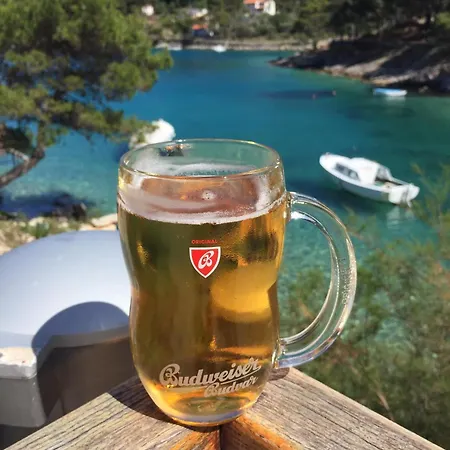 펜션 Seaside House Losinj, Losinj - 22696 *