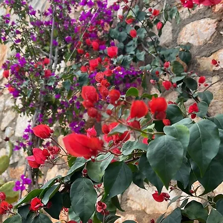 Seaside House Losinj, Losinj - 22696